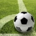 Serwetki, 3-warstwowe składane w 1/4  33 cm x 33 cm "Football" - 20 szt./opak 2