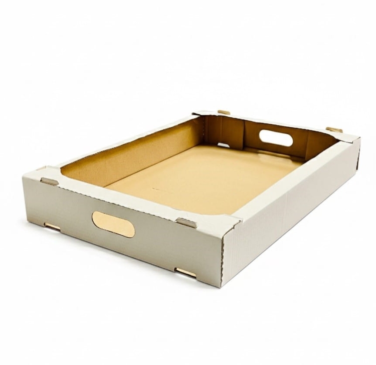 Pudełko karton transportowy 60 x 40 x 8 cm na pączki - 50 szt./opak.