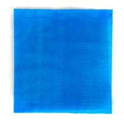 Wkład absorpcyjny 200 x 230 mm - chłonność 600 ml - kolor niebieski - 900 szt./kart.