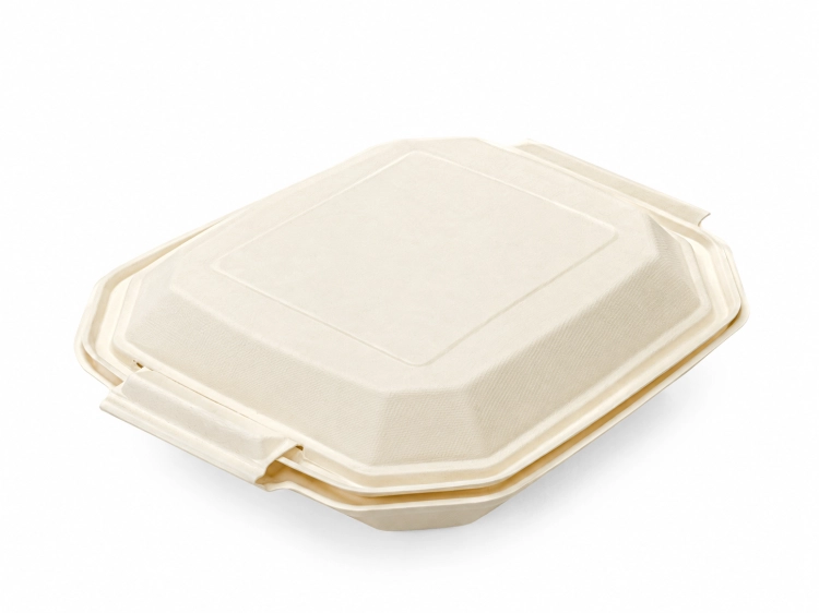 MenuBox z celulozy 26 × 24 × 7,7 cm