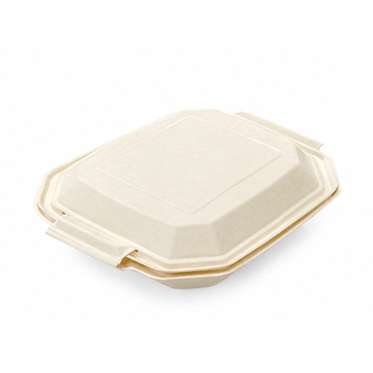 MenuBox z celulozy 26 × 24 × 7,7 cm