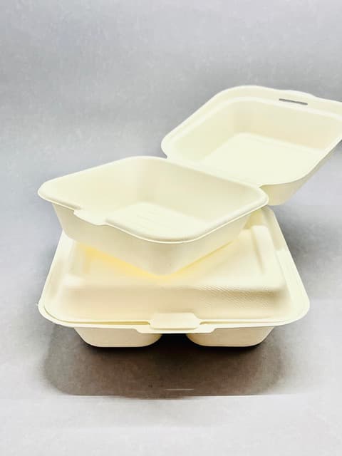 Pojemniki z trzciny cukrowej blog